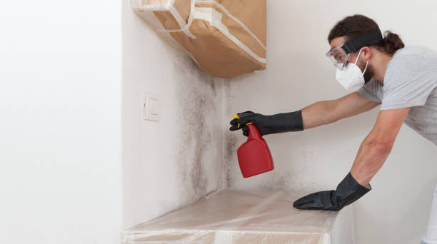 Professional Mold Testing technician working in Wilmington, MA