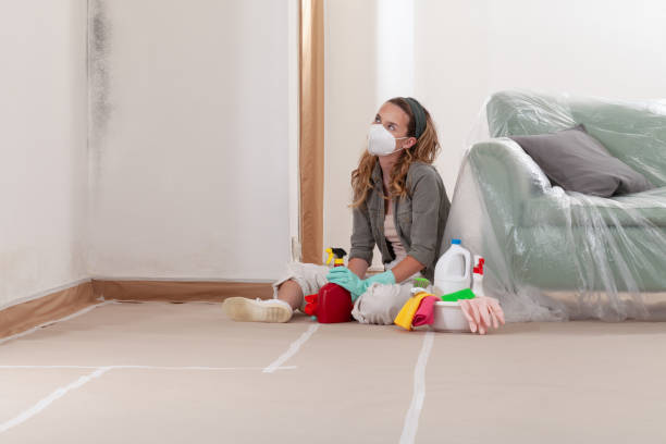 Reliable Mold Testing contractor in Wilmington, MA by WQB Mold Removal